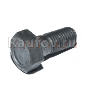 Болт М10x1,50x25 маховика 2101-1005127 Болт М10x1,50x25 маховика 2101-1005127 купить в Челябинске