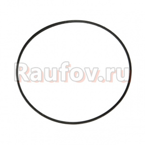 Кольцо полуоси уплотнит ВАЗ-2121 2121-2401065 Кольцо полуоси уплотнит ВАЗ-2121 2121-2401065 купить в Челябинске