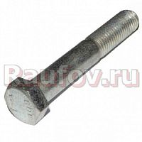 Болт М16x2,00x100 крепления ступицы Газель-Next центральный 290698-81 купить в Челябинске