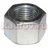 Гайка стремянки ГАЗ-3302    250561-П29   М16х1,5х19 купить в Челябинске