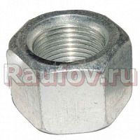 Гайка стремянки 292931-П29 ГАЗ-53 66 ПАЗ 4301 зад (вн.болт кол. 53) купить в Челябинске